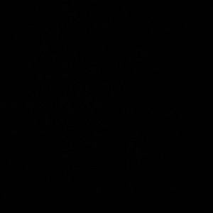 Meet your Posher, Tati